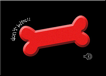 doggy, bite, bone, dont HD wallpaper