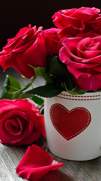 Beautiful Rose, Red Roses, Love HD phone wallpaper