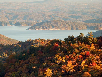 Autumn Trees, autumn, colors, tree, mountain HD wallpaper