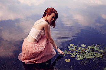 WATER LILY, LILY, BEAUTY, BABE, WATER HD wallpaper