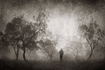 Landscape, People, Trees, Grass HD wallpaper