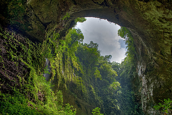 Nature, Sky, Clouds, Rock, Vegetation, Arch, Gorge, From Below HD wallpaper