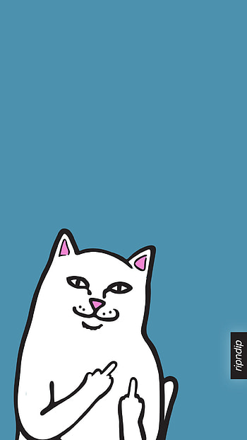 Zumiez — ripndiplivefeed: ripndip . HD phone wallpaper