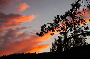 Nature, Sunset, Sky, Night, Branch, Outlines, Ochertinia HD wallpaper