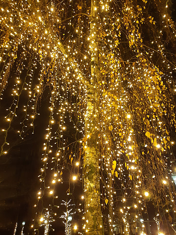 Christmas lights, xmas HD phone wallpaper