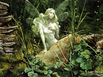 Forest Fairy, night, fairy, plants, art, forest HD wallpaper