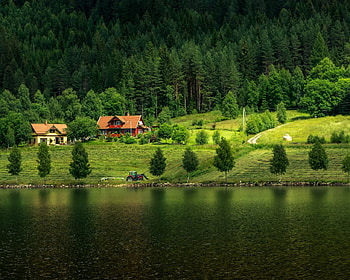 Lake view, Green, House, Forest, Trees HD wallpaper