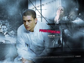 Prison Break, prison, wentworth miller, break, movies, film HD wallpaper