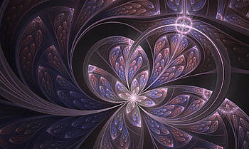 The Sparks, sama, chan, mayu, iza HD wallpaper