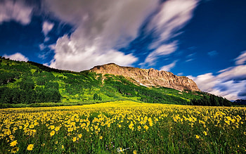Colorado Mountains, Lanscape, Meadow, Nature, Mountain, Colorado HD wallpaper