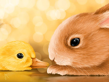 who are you then?, ducks, friends, animals, rabbits HD wallpaper