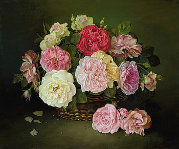 By Jose Escofet, rose, painting, art, flower, jose escofet HD wallpaper