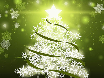 Christmas pine, holiday, pine, light, christmas, green HD wallpaper