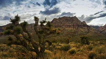Red Rock Canyon, Las Vegas, Nevada, stones, clouds, landscape, desert, sky, rocks, usa HD wallpaper