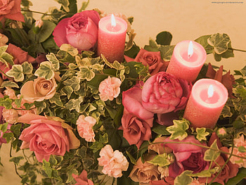 roses & candles for my friend Rita, pink, roses arrangement, red, beautiful, burning candles HD wallpaper