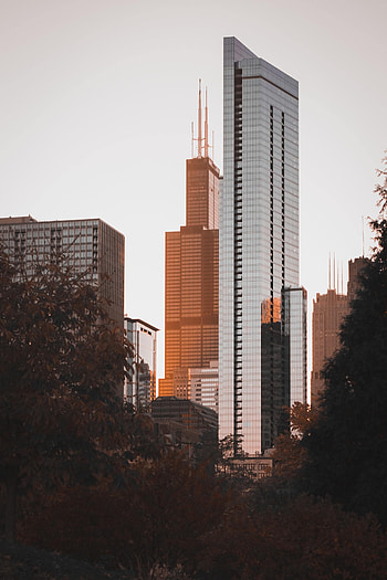 Cities, Trees, Architecture, Building, Skyscrapers, Tower, Towers HD phone wallpaper