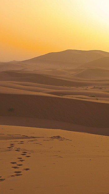Desert Scenery, Untouched nature, Serene landscapes, Tranquil beauty HD phone wallpaper
