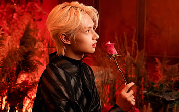 Rose & Rhythm: K-Pop Idol, music, Seventeen (Band) HD wallpaper