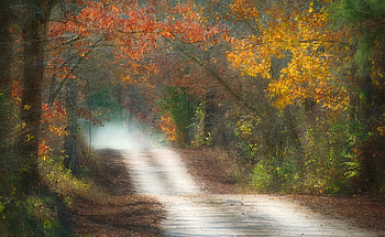 Landscape, colorful, magic, colors, peaceful, beautiful, seson, background, light, view, autumn, road, nature, forest HD wallpaper