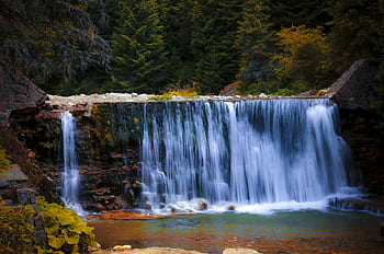 Cascading waterfall in a lush forest, capturing serene nature beauty. HD wallpaper