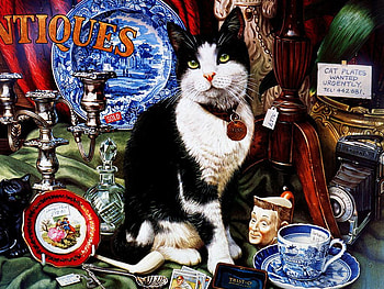 This is my collection, kitten, tea, art, cat, feline HD wallpaper