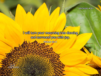 My promise to you, sunshine, gorgeous, beautiful, sunflower, promise, yellow, nature, flowers, happy, happiness, forever HD wallpaper