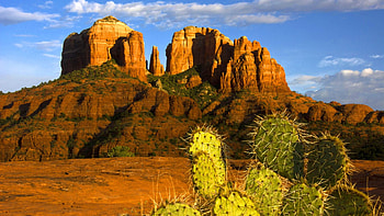 Majestic sunset, Cathedral view, Prickly paradise, Nature's wonder HD wallpaper