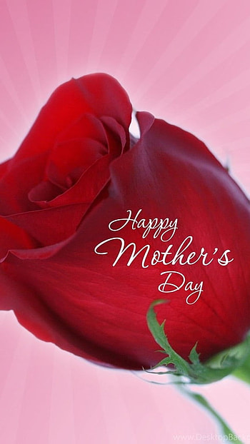 Mothers Day, Red Rose HD phone wallpaper