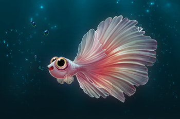 Betta, fantasy asy, art, florianne becker, summer, pink, one, pesti, fish, funny, water, vara HD wallpaper