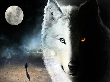 Moon In LOve, animal, abstract, moon, fantasy, man, wolf HD wallpaper