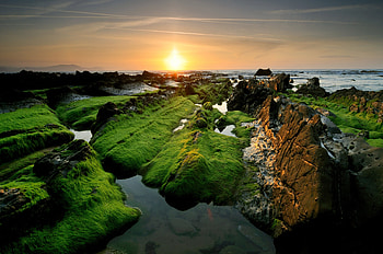 Nature, Sunset, Rocks, Moss HD wallpaper