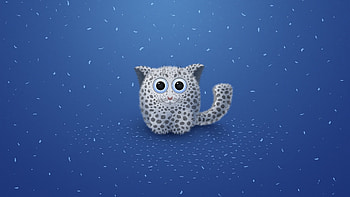 Cool Cat HD wallpaper