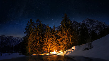 Campfire Forest, campfire, forest, nature, trees HD wallpaper