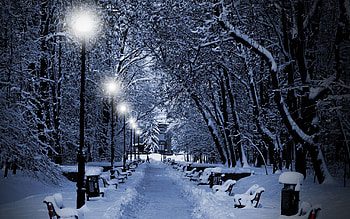 Landscape, Winter, Snow HD wallpaper