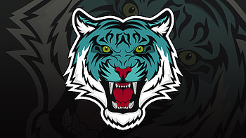 Tiger Mascot , tiger, artist, artwork, digital-art, deviantart HD wallpaper