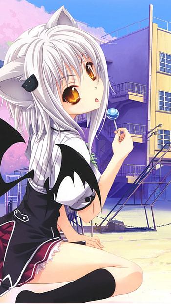 Anime, High School DxD HD phone wallpaper