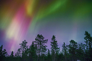 Nature, Trees, Multicolored, Motley, Northern Lights, Aurora Borealis HD wallpaper