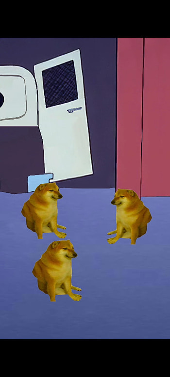 Doge meme, Cool, Fun HD phone wallpaper