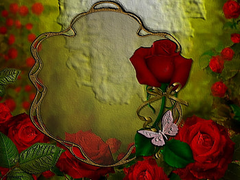 FOR TEXT, TEXT, CARD, , FOR HD wallpaper