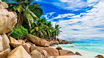 Seychelles palms, Coastal rocks, Breathtaking views, Serene natural beauty HD wallpaper