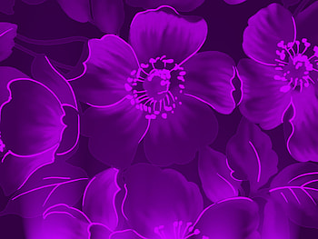Glowing Purple Flower, purple, glow, light, beauty HD wallpaper