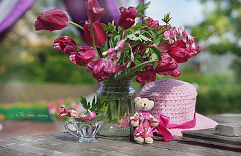 soft, pink, flowers, abstract HD wallpaper