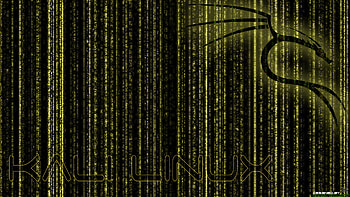 ... Kali Linux BackTrack Yellow v.1 by ZeroxProject HD wallpaper