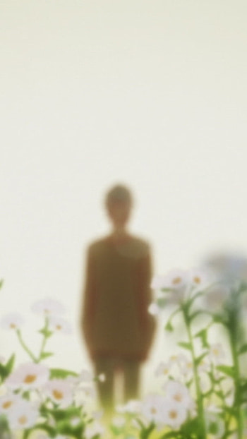 Wolf children hana, wolf children HD phone wallpaper