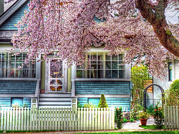 Cities, Wood, Tree, Bloom, Flowering, House, Fence, r, Spring HD wallpaper
