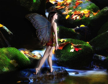 BUTTERFLY PRINCESS, butterfly, fly, princess, colorful fantasy, forest HD wallpaper