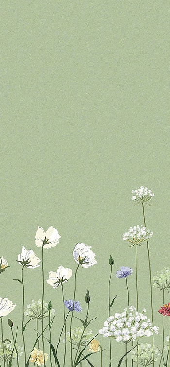 Flores, pétalo, verde HD phone wallpaper