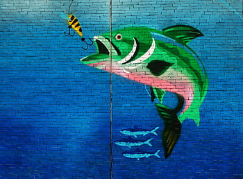 Vibrant mural of a fish and bait on a brick wall, showcasing street art in Dubai. HD wallpaper