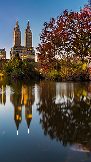 Central Park, United States HD phone wallpaper