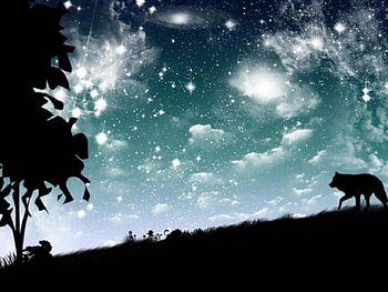Wolf Fantasy, animal, abstract, fantasy, clouds, wolf, tree HD wallpaper
